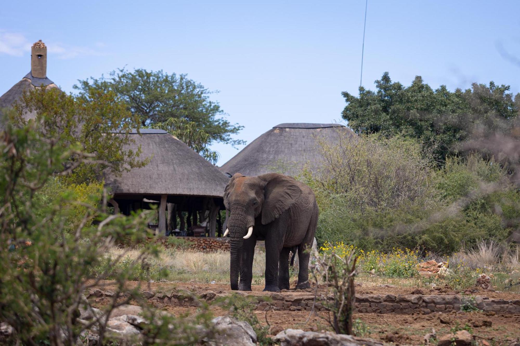 Rhulani Safari Lodge Madikwe Game Reserve Εξωτερικό φωτογραφία