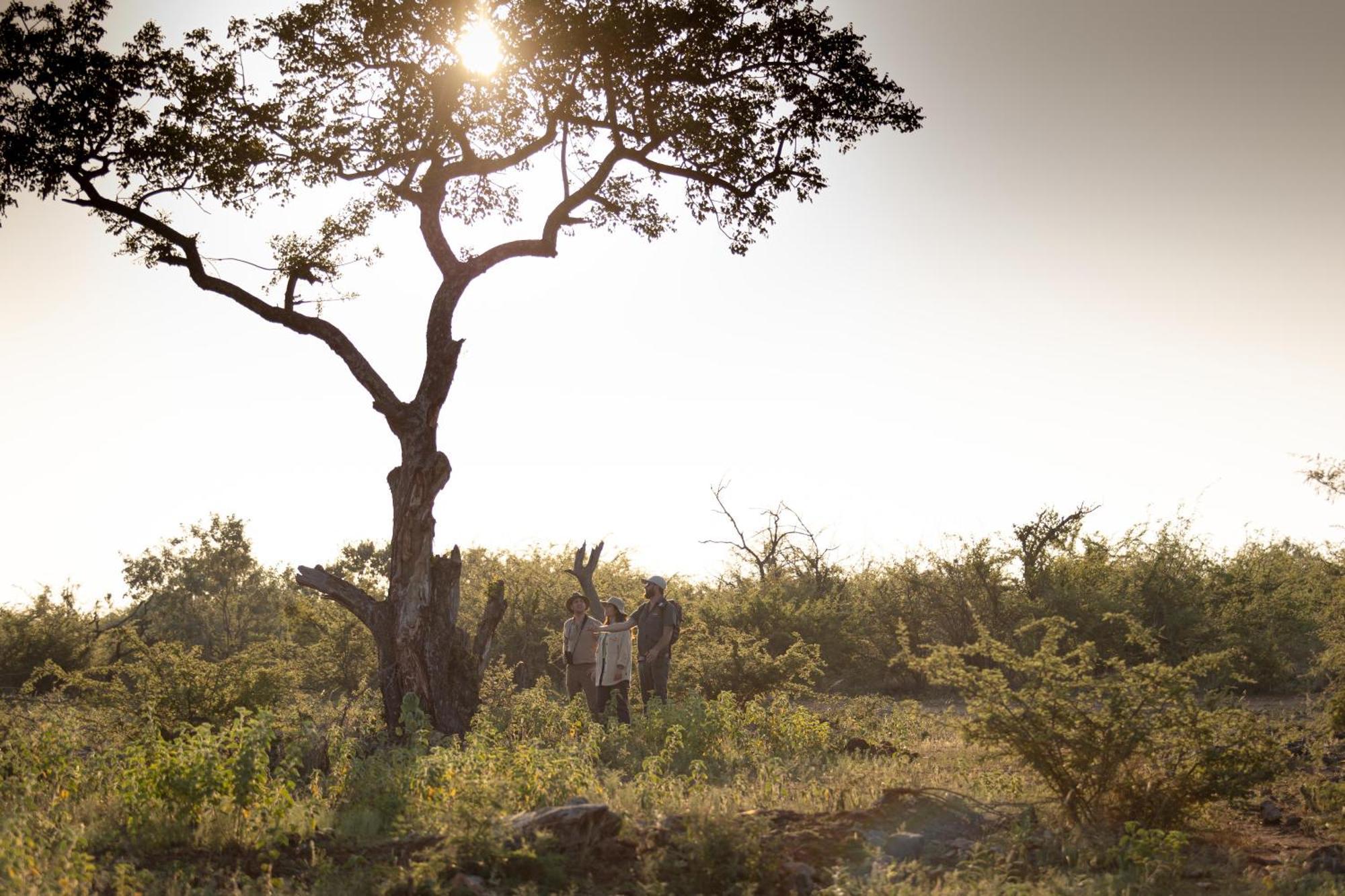 Rhulani Safari Lodge Madikwe Game Reserve Εξωτερικό φωτογραφία