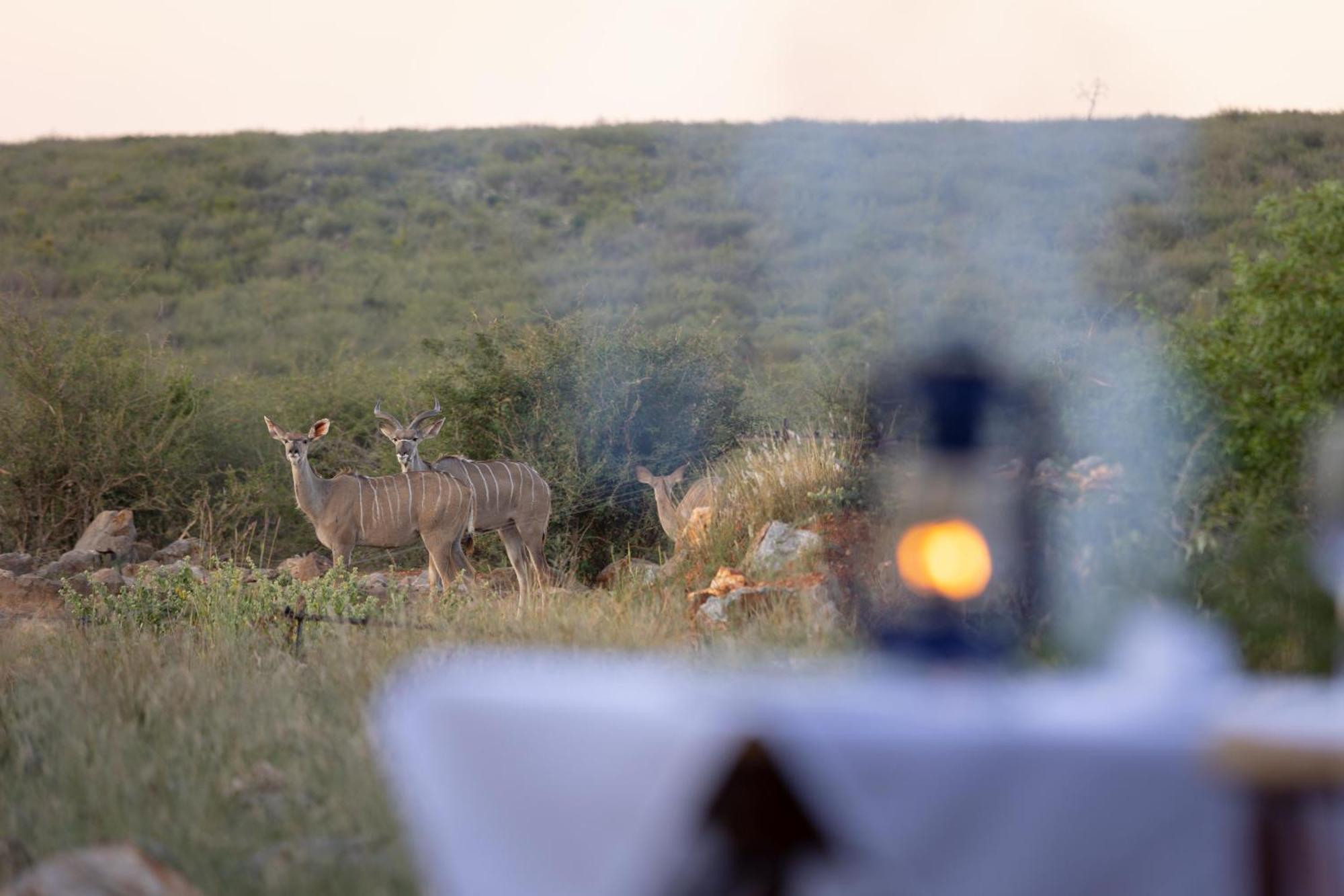 Rhulani Safari Lodge Madikwe Game Reserve Εξωτερικό φωτογραφία