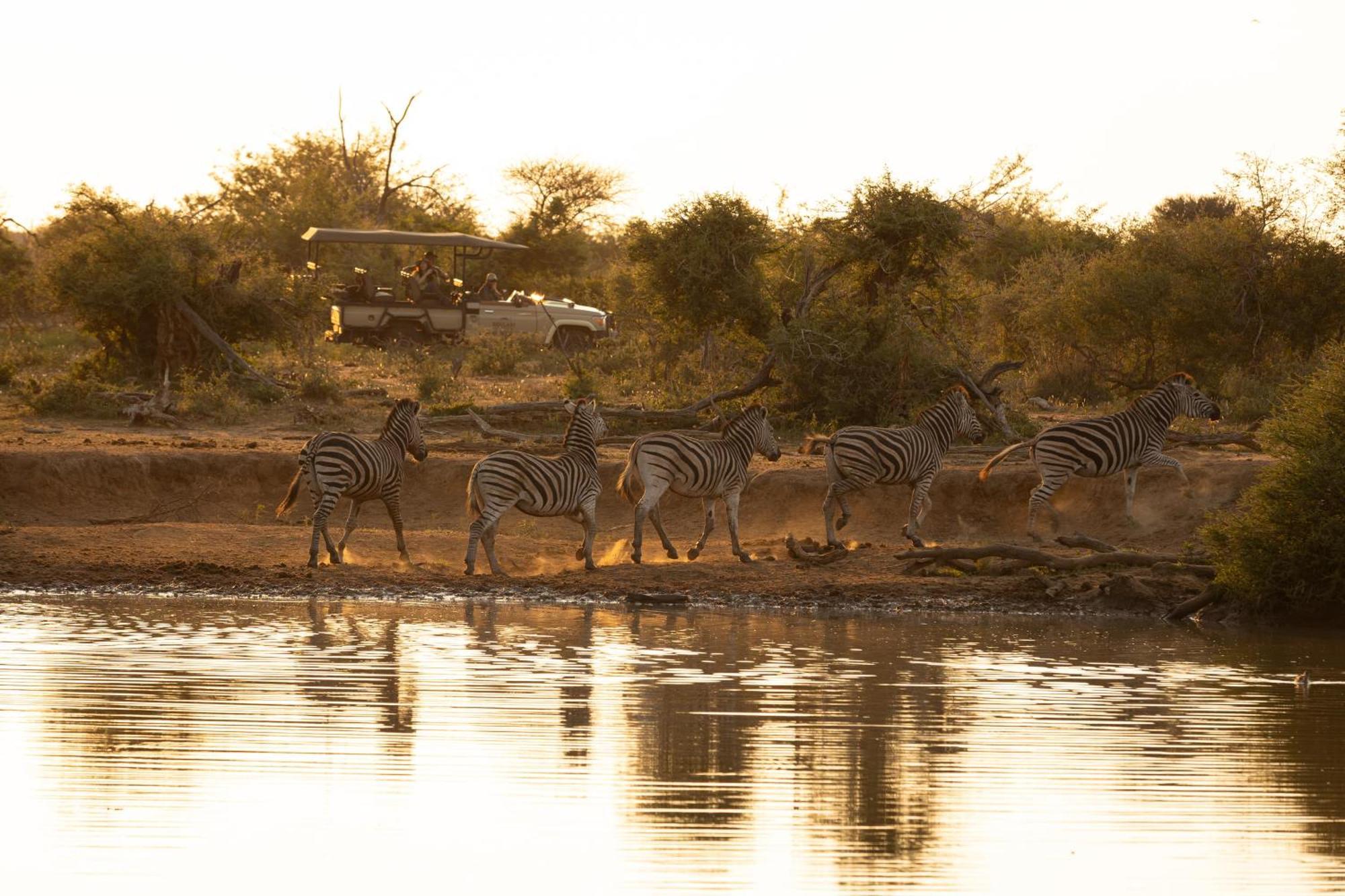 Rhulani Safari Lodge Madikwe Game Reserve Εξωτερικό φωτογραφία