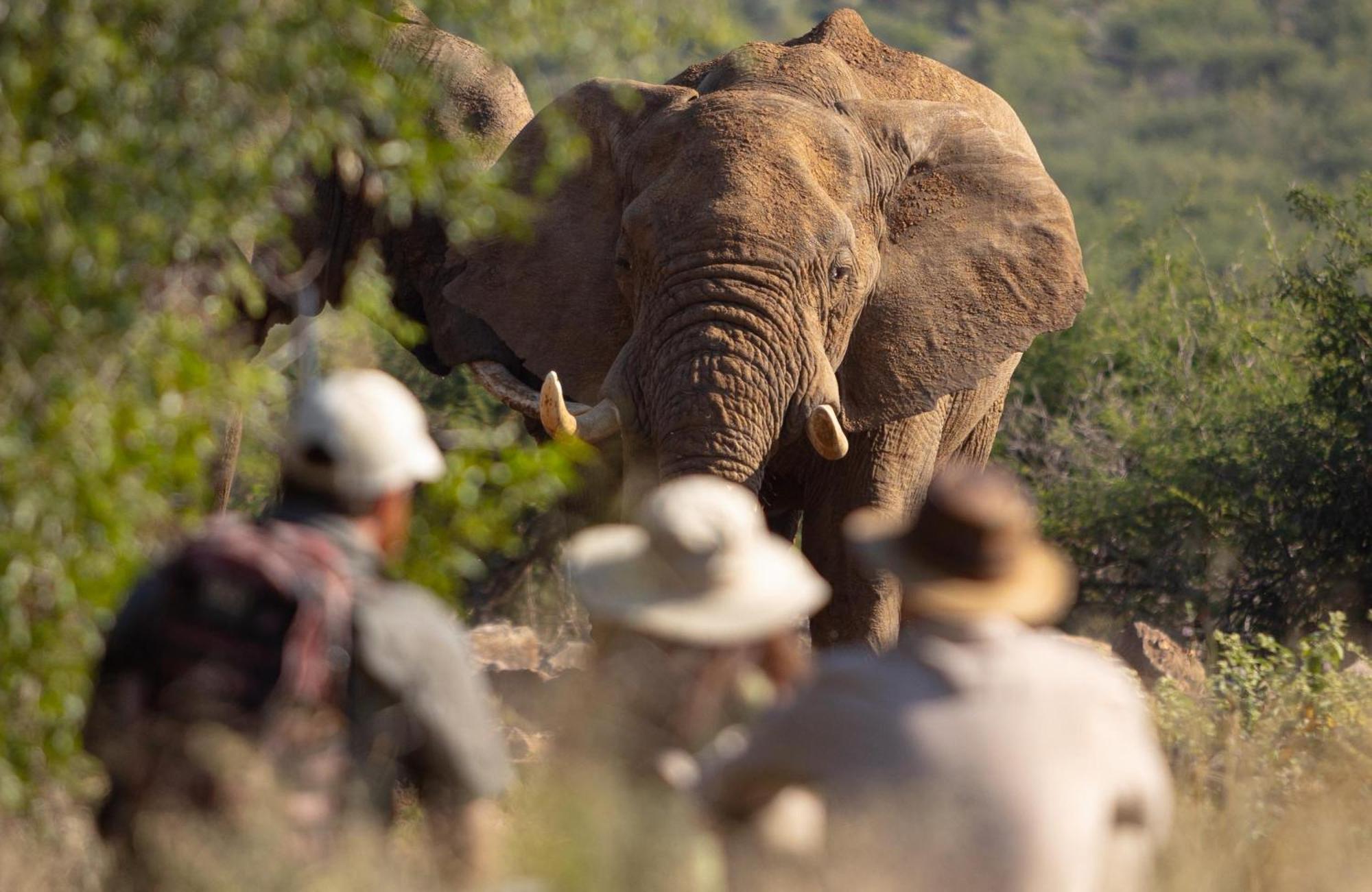 Rhulani Safari Lodge Madikwe Game Reserve Εξωτερικό φωτογραφία