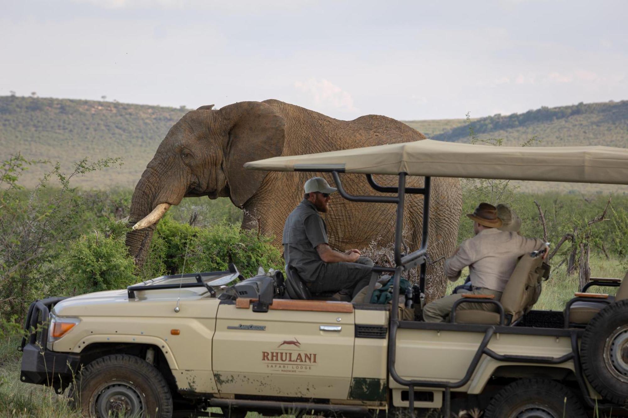 Rhulani Safari Lodge Madikwe Game Reserve Εξωτερικό φωτογραφία